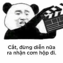 Con Nuôi Hay Con Đẻ