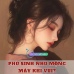 Phù Sinh Như Mộng, Mấy Khi Vui?