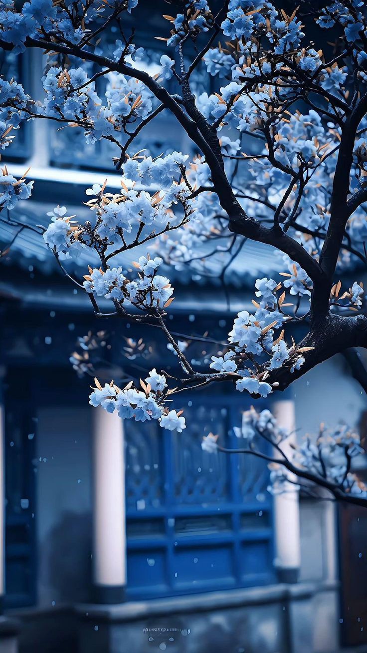 Sau Khi Nghe Thấy Tiếng Lòng, Tôi Nhận Ra Chồng Và Gia Đình Chồng Rất Yêu Quý Tôi