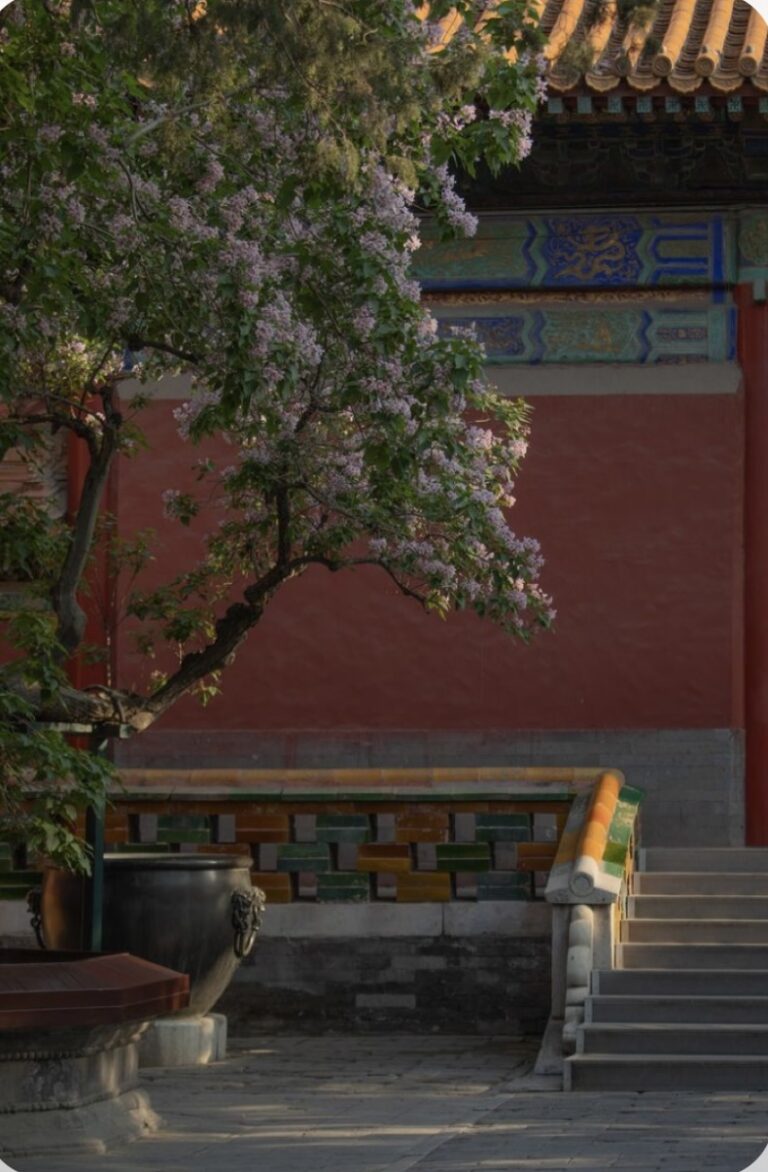 Thâm Cung Cố Sự