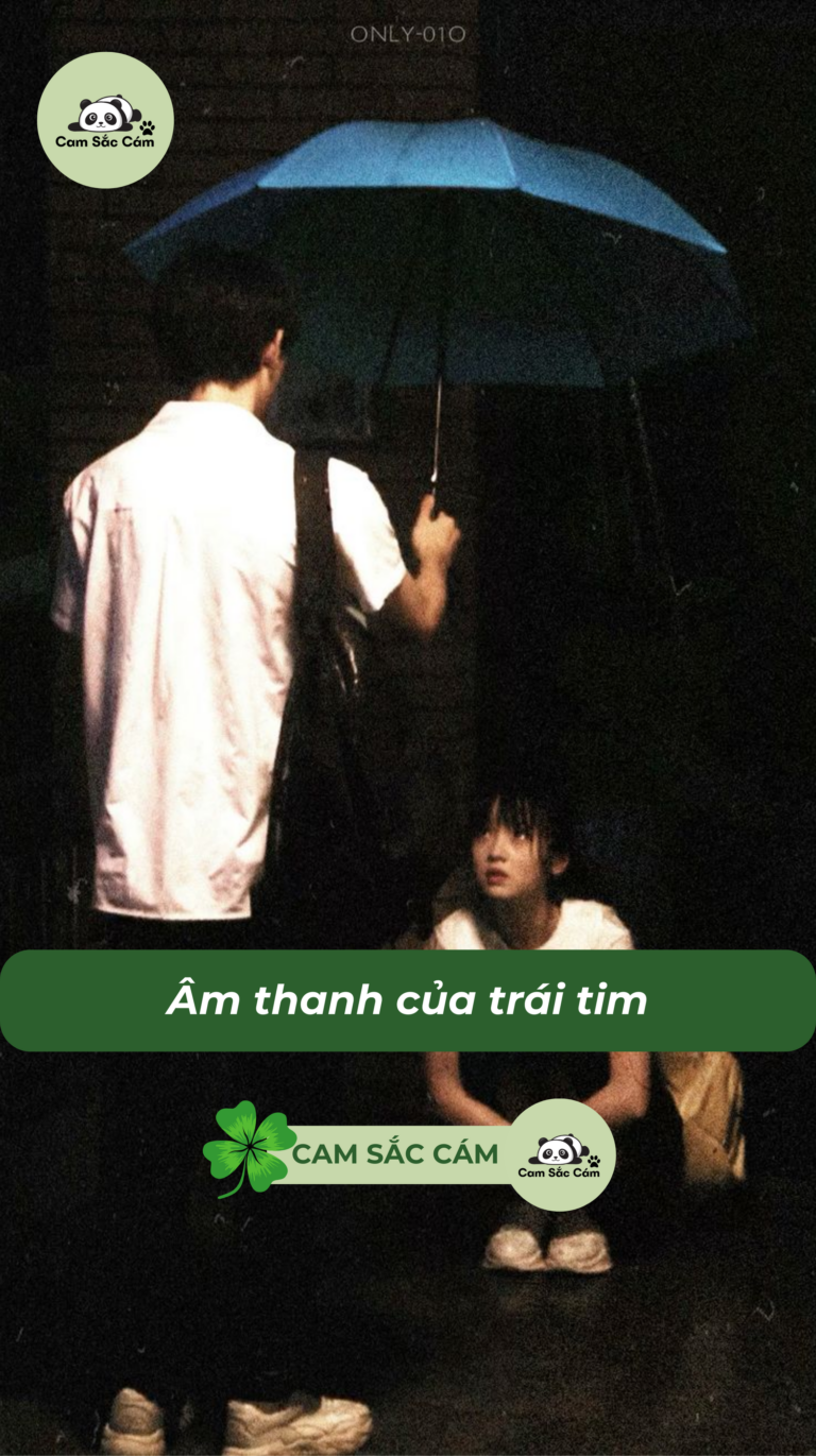 Chương 4
