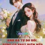 Anh Đã Tự Do Rồi, Đừng Có Phát Điên Nữa
