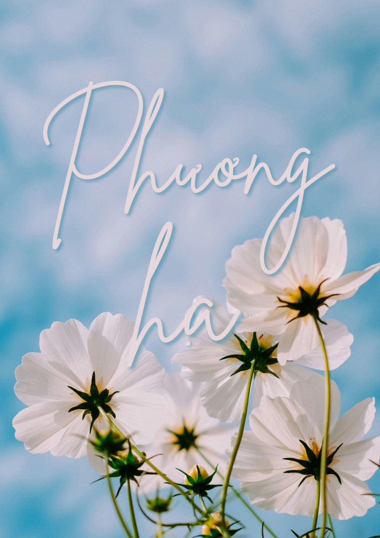 Chương 13
