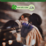 Toả Sáng Cùng Anh