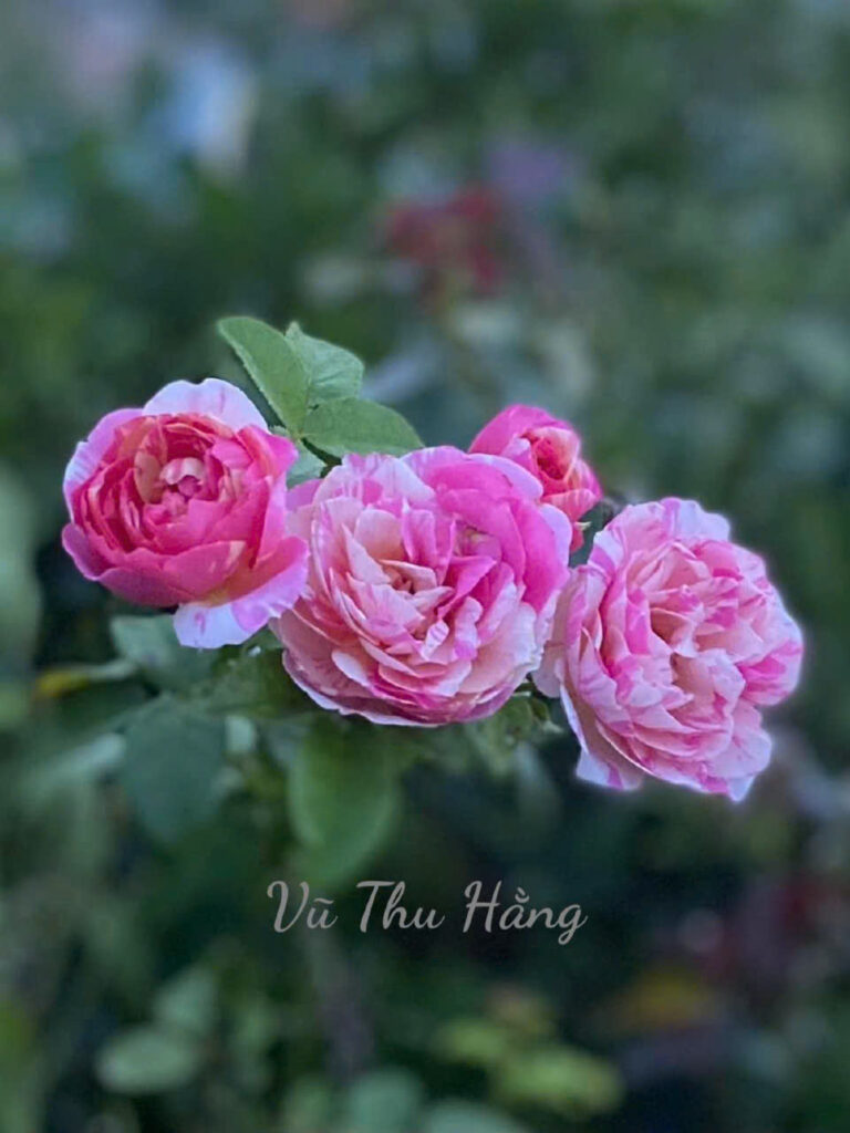 10 (END)